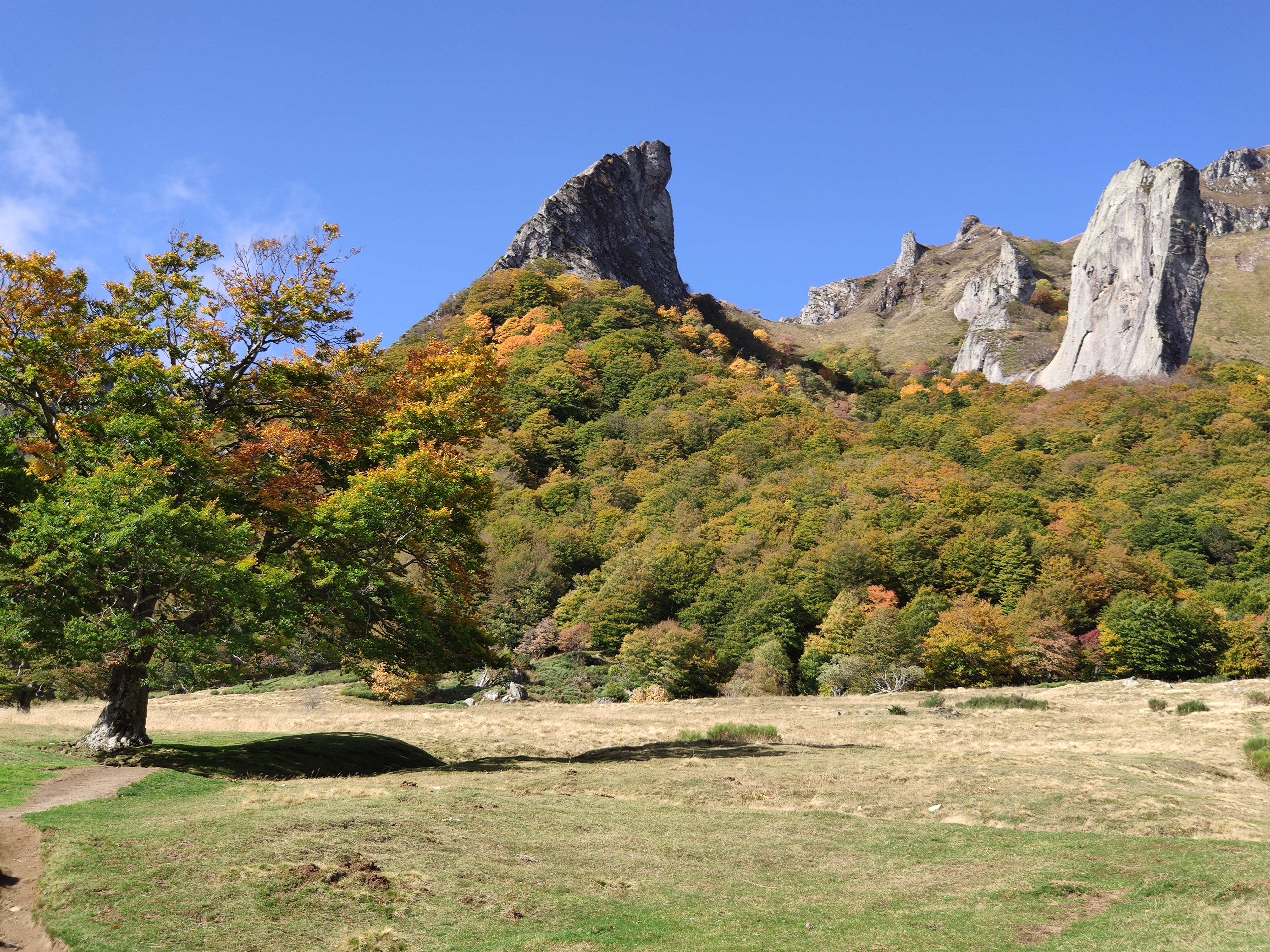 Photo n° 22 de l'avis de Florent.r fait le 13/10/2019 à 14:22
