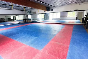 Taekwondo Sportschule Seoul Gießen image