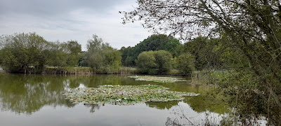 GUIZIER Jean Pierre - Propriétés privées à Bellevigny