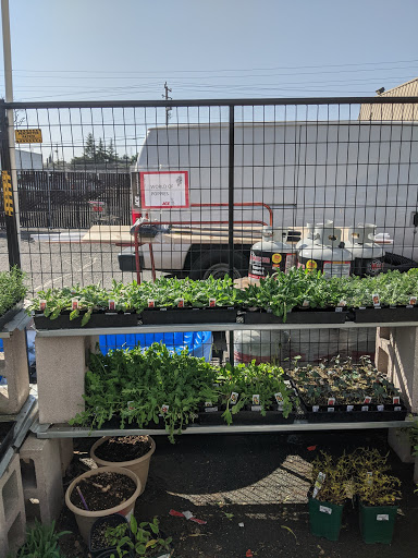 Hardware Store «Antioch Ace Hardware», reviews and photos, 501 Sunset Dr, Antioch, CA 94509, USA
