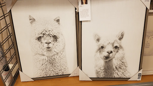 Department Store «T.J. Maxx», reviews and photos, 198 Retail Commons Pkwy, Martinsburg, WV 25403, USA