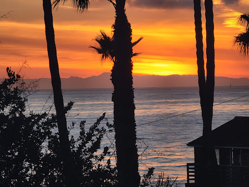 Crystal Cove Shake Shack image