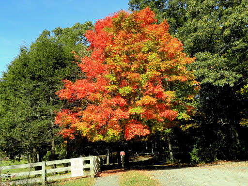 Park «Endicott Park (Town of Danvers)», reviews and photos, 57 Forest St, Danvers, MA 01923, USA