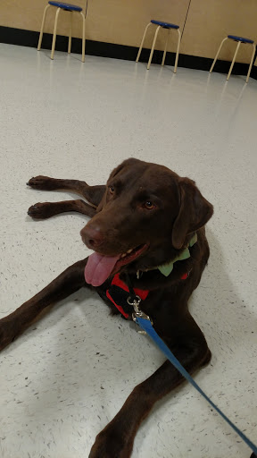 Pet Supply Store «PetSmart», reviews and photos, 7225 Bell Creek Rd Ste 228, Mechanicsville, VA 23111, USA