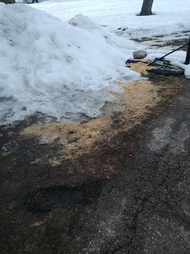 Corporate Office «Mad City Windows & Baths», reviews and photos