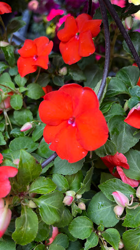 Home Improvement Store «The Home Depot», reviews and photos, 32525 Northwestern Hwy, Farmington Hills, MI 48334, USA