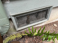 Issaquah Pest Control - Photo 6 - Car repair in Issaquah, WA, Seattle