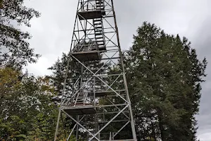 Dickinson Hill Fire Tower image