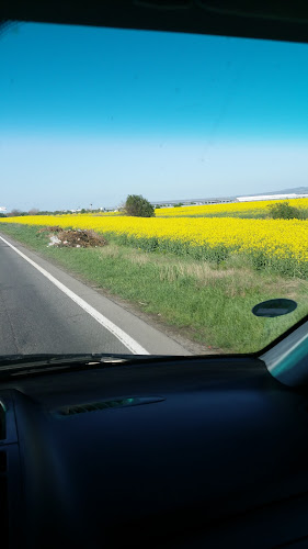 Tranda - Spălătorie Auto