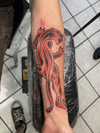 Explore tattoo ideas wolf, creative tattoo ideas in Orange Park, available at Fantasy Tattoo and Piercing