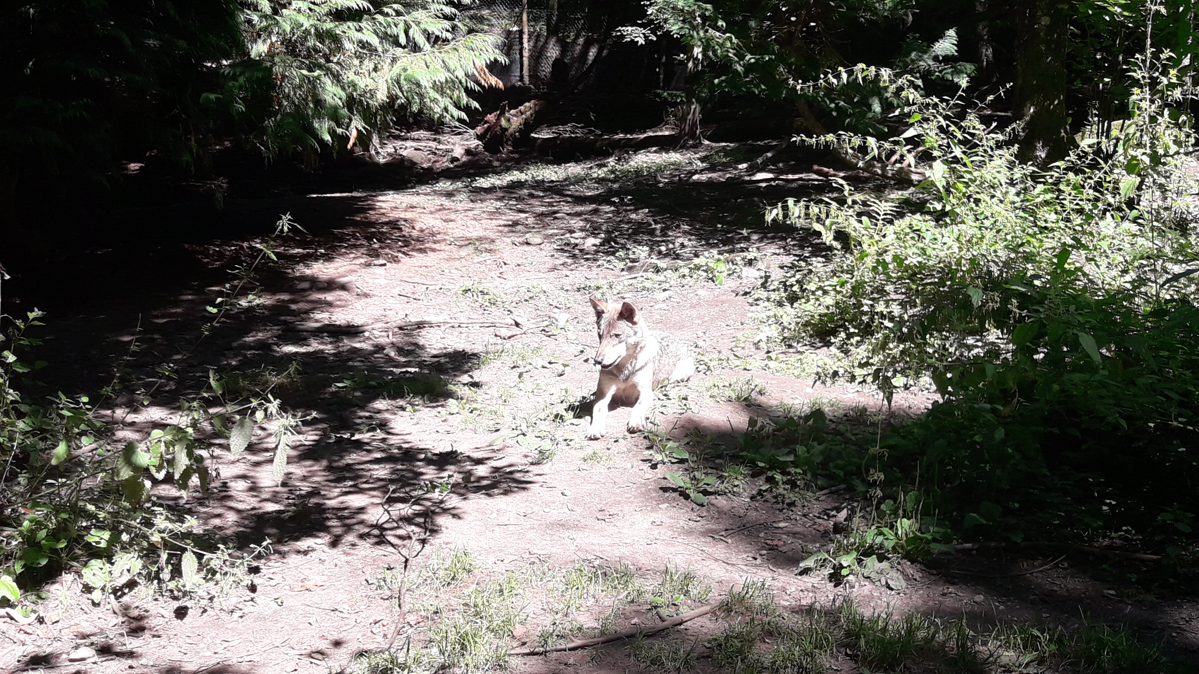 Photo n° 1 de l'avis de emma.a fait le 13/08/2017 à 05:28