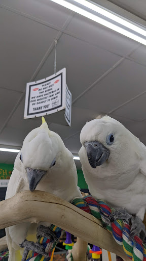 Pet Store «Leesburg Pet Center», reviews and photos, 959 N 14th St, Leesburg, FL 34748, USA