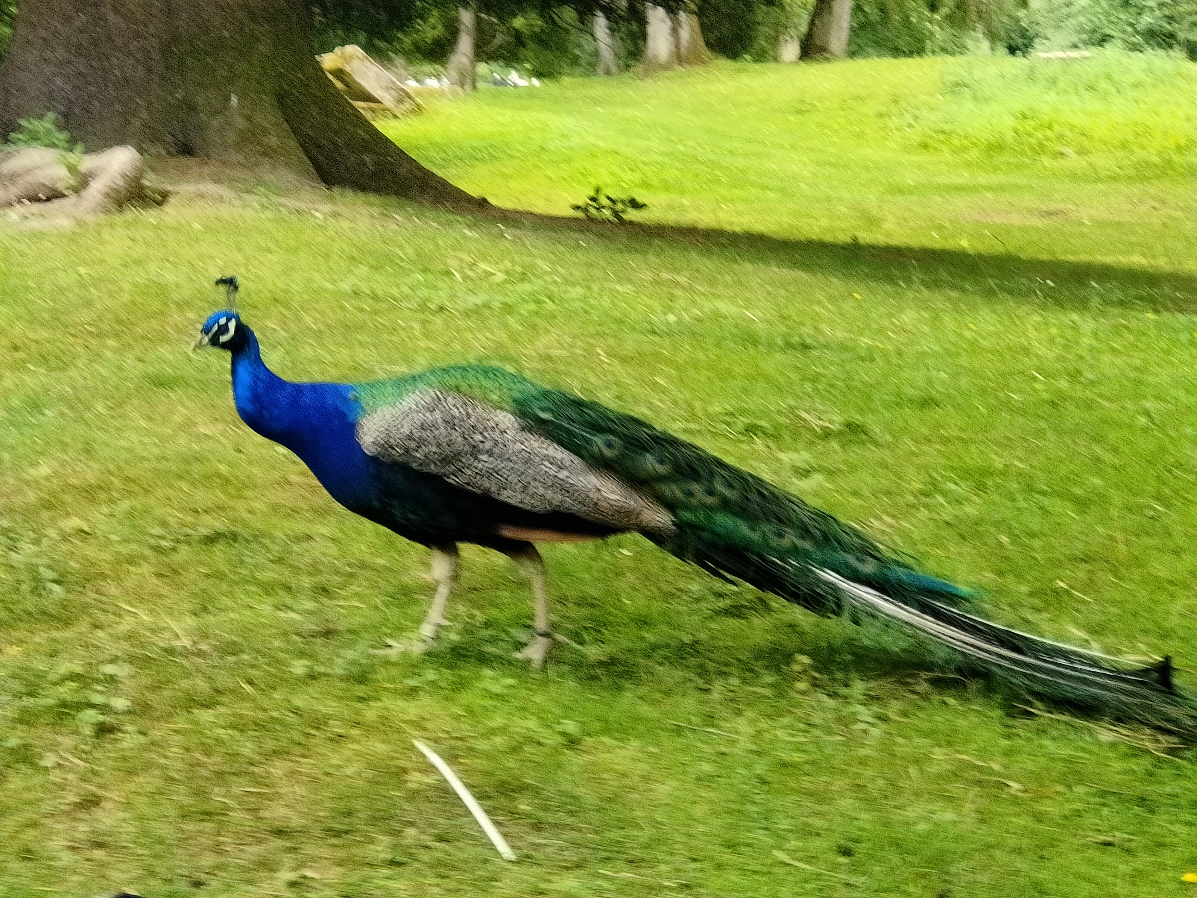 Photo n° 6 de l'avis de Claude.a fait le 03/08/2023 à 20:56