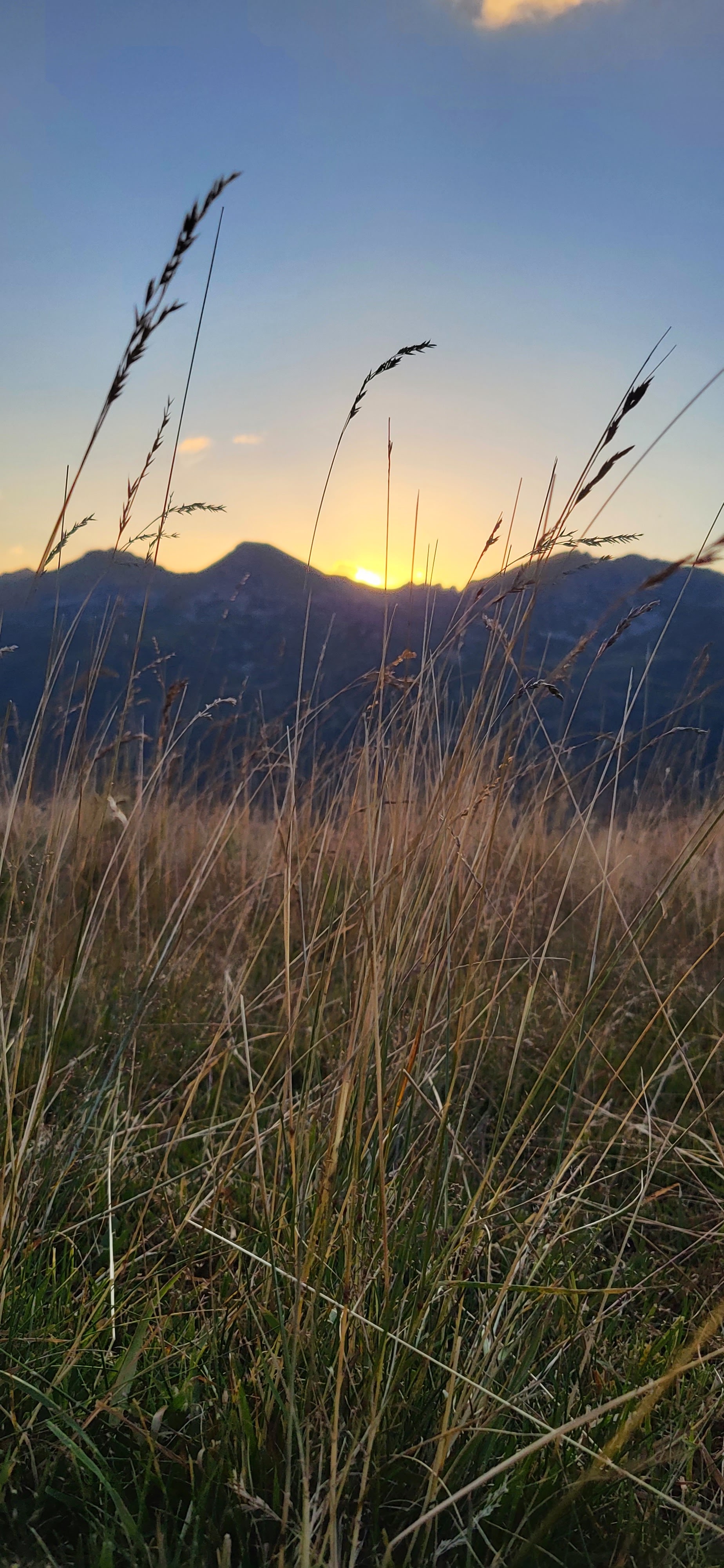 Photo n° 2 de l'avis de Kilian. fait le 15/08/2023 à 18:46