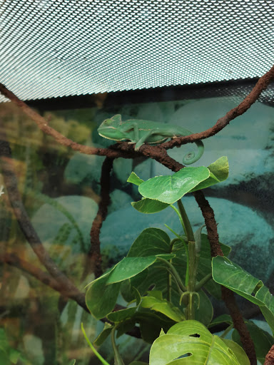 Pet Supply Store «Petco Animal Supplies», reviews and photos, 205 Washington St #11, Hudson, MA 01749, USA