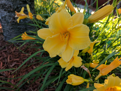 Amusement Park «Magic Mountain Fun Center - Polaris», reviews and photos, 8350 Lyra Dr, Columbus, OH 43240, USA