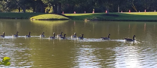 Dog Park «Thomas Bull Memorial Park», reviews and photos, 211 New York 416, Montgomery, NY 12549, USA