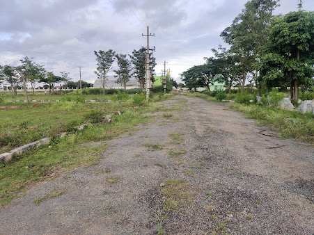 Google Maps image 25