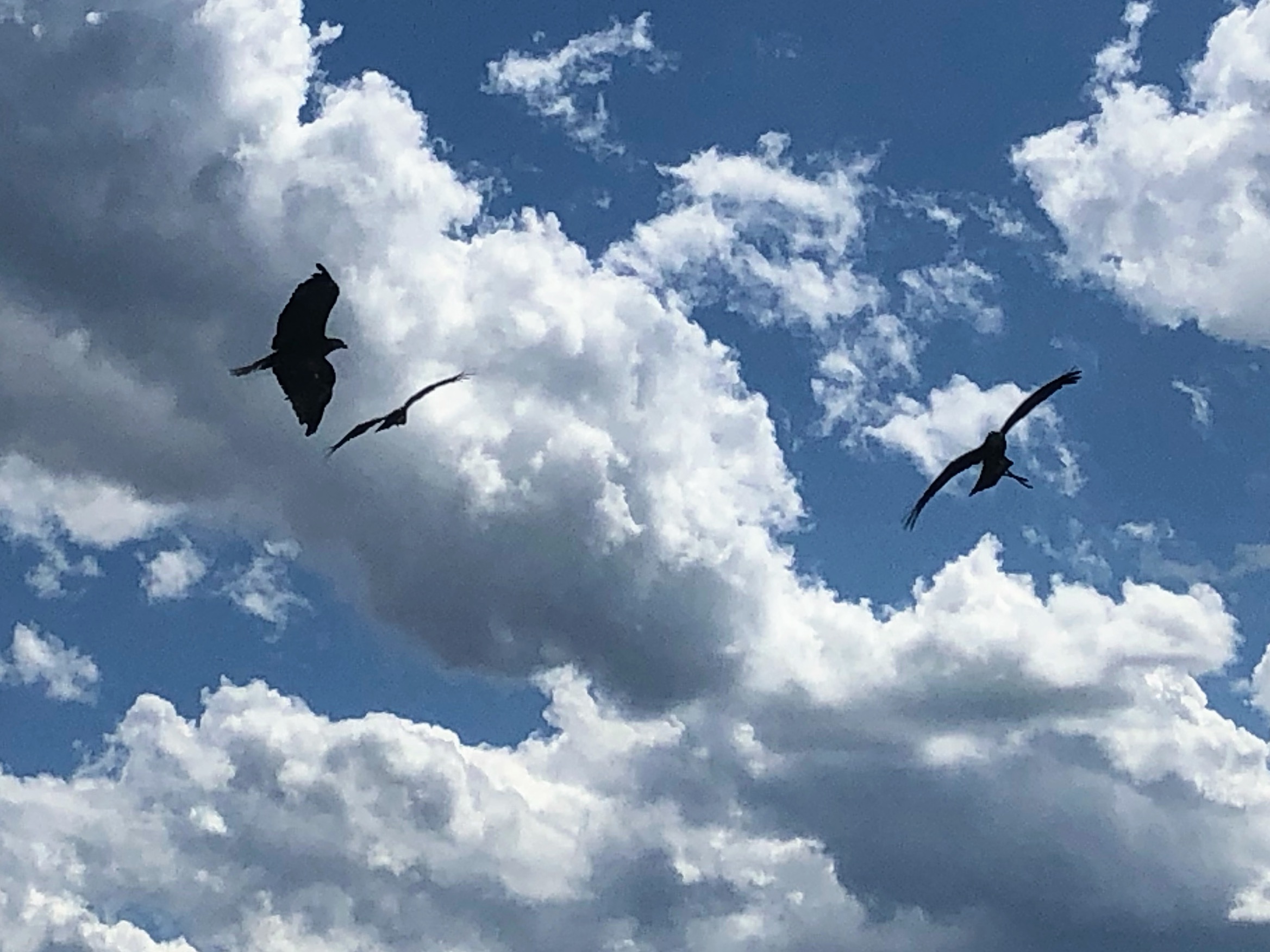 Photo n° 4 de l'avis de Jérémie.r fait le 28/08/2020 à 17:19