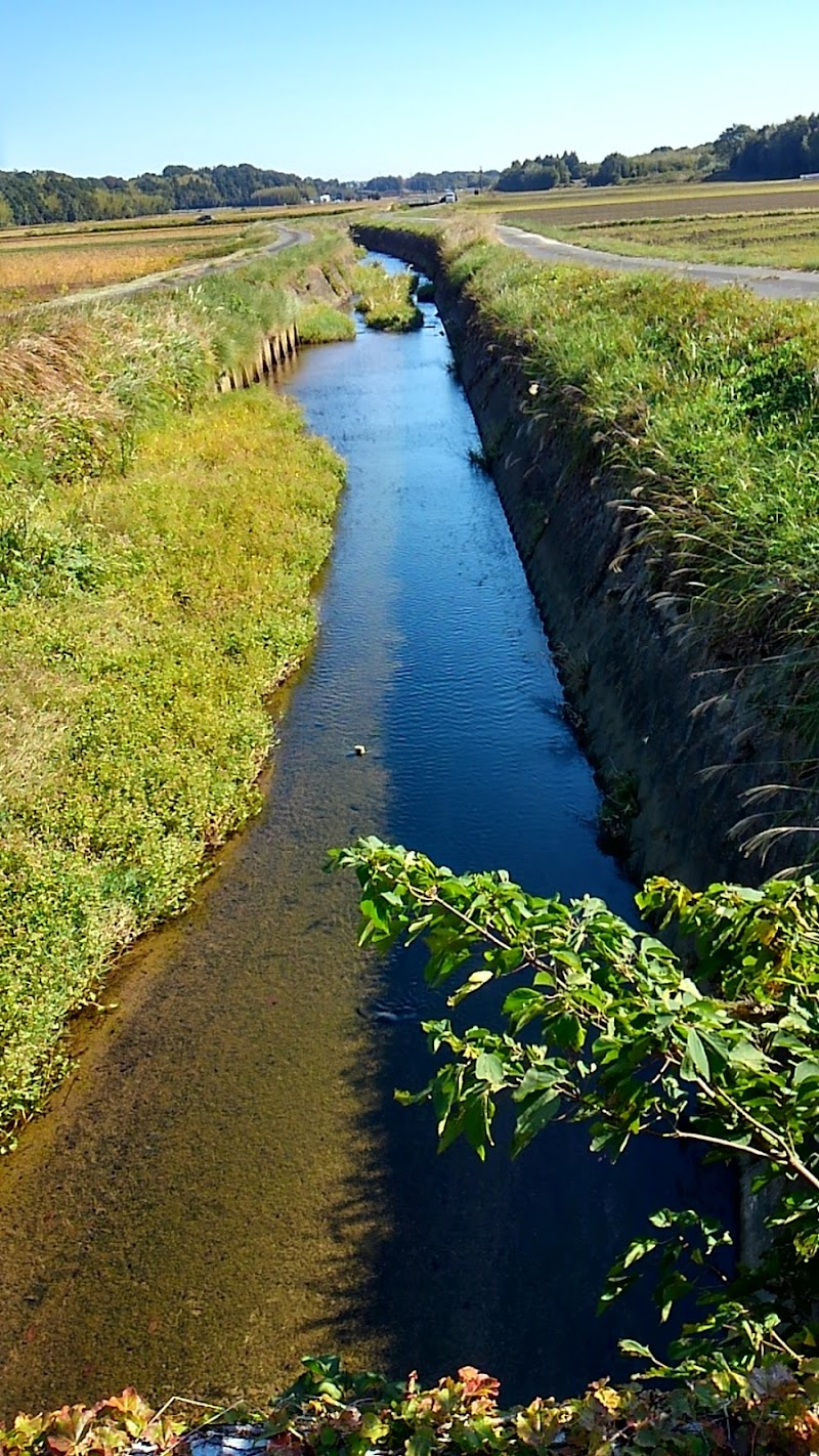三重県営 北勢中央公園 三重県四日市市西村町 公園 公園 グルコミ