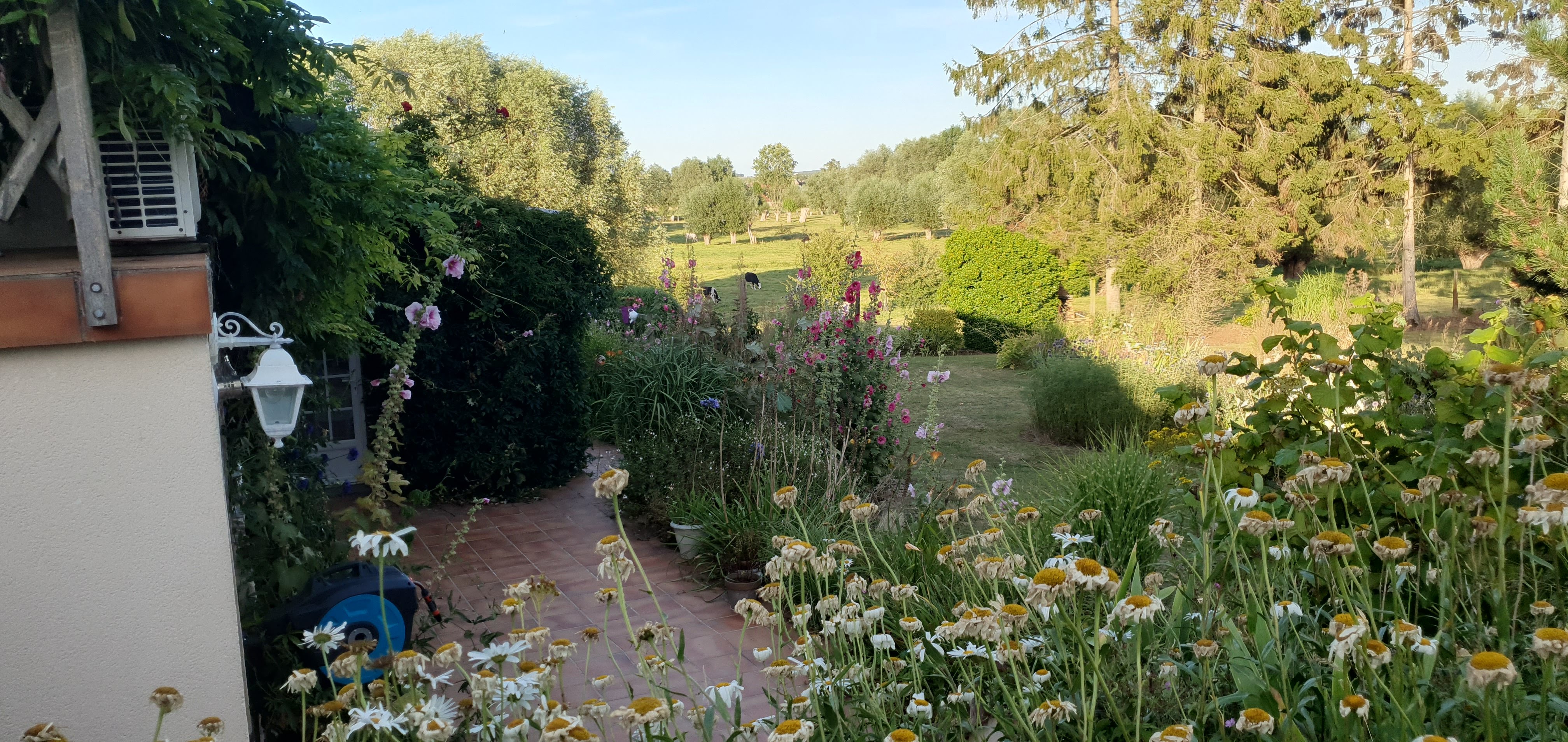 Photo n° 5 de l'avis de Marc.e fait le 18/08/2020 à 13:44