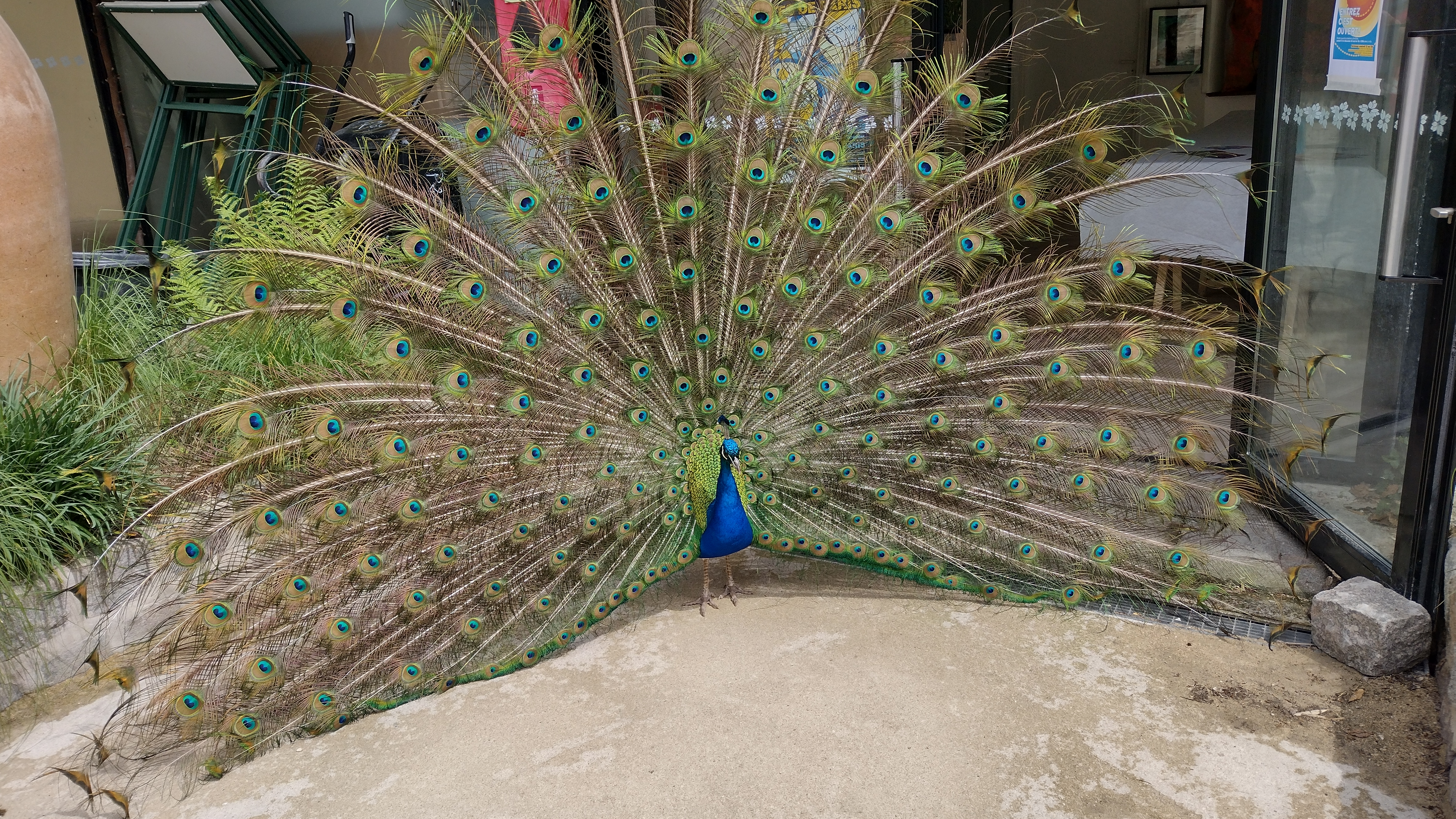 Photo n° 1 de l'avis de FanFan. fait le 06/05/2023 à 12:04