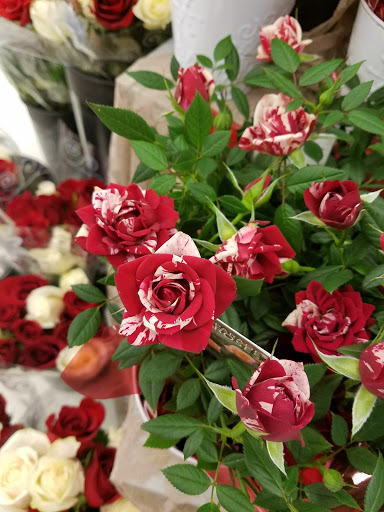 Grocery Store «Jewel-Osco», reviews and photos, 145 S Eastwood Dr, Woodstock, IL 60098, USA