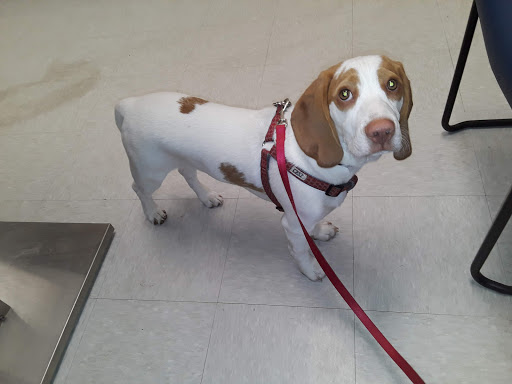 124 Saint Cloud Rd, San Antonio, TX 78228, USA