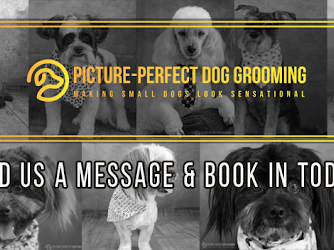 Picture Perfect Dog Grooming NZ