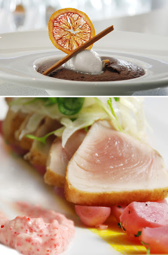 FrogFrenchie Design image