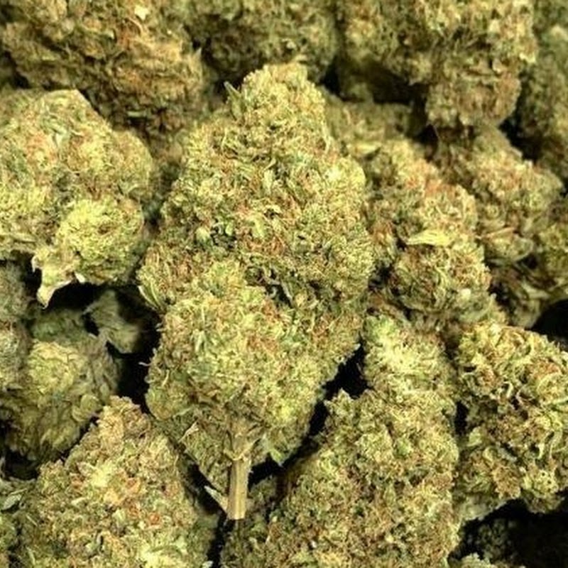 Dutch Cannabis