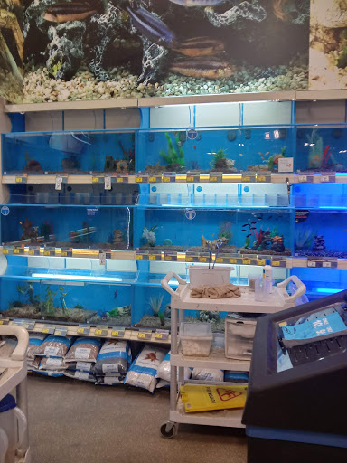 Pet Supply Store «PetSmart», reviews and photos, 5435 W TX-1604 Loop N, San Antonio, TX 78253, USA