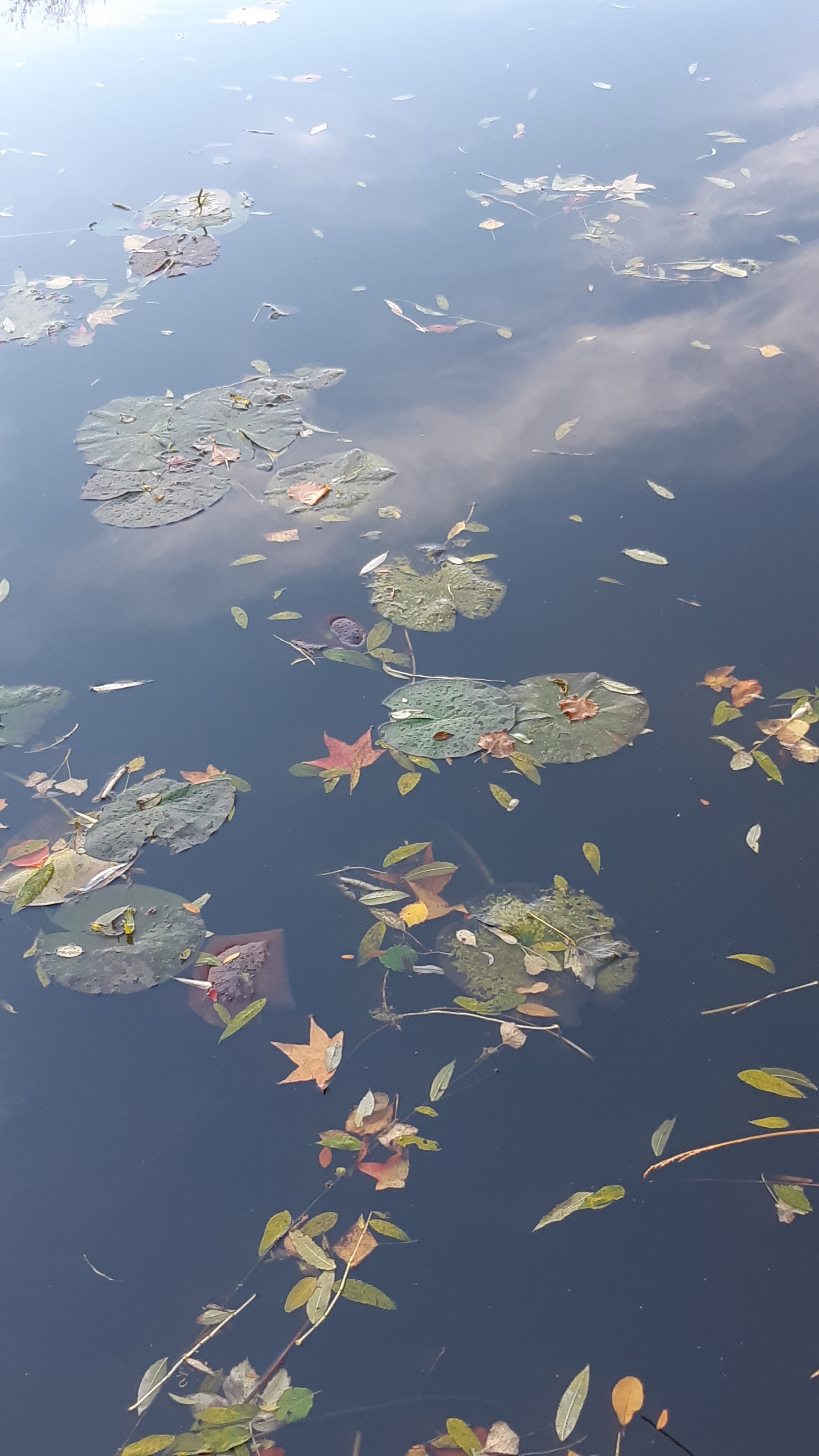 Photo n° 27 de l'avis de Jeanine.i fait le 02/11/2021 à 13:30