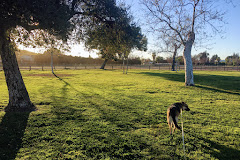 Bette Davis Picnic Area