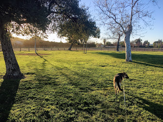 Bette Davis Picnic Area