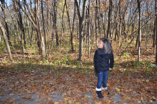 Hiking Area «Hammel Woods - Route 59 Access», reviews and photos, 554 Brook Forest Ave, Shorewood, IL 60404, USA