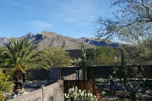 Roofing Contractor «Lyons Roofing», reviews and photos, 895 W Grant Rd, Tucson, AZ 85705, USA