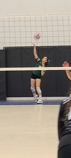 Gym «Top Flight Volleyball Club LLC», reviews and photos, 2739 Alft Ln, Elgin, IL 60124, USA