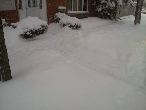 Golf Course «Indian Boundary Golf Course», reviews and photos, 8600 W Forest Preserve Ave, Chicago, IL 60634, USA