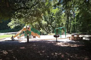 DeLaveaga Park image