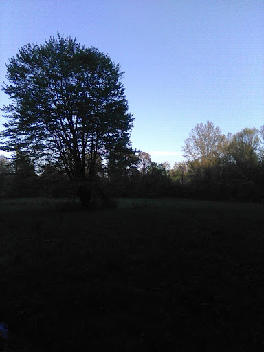 Park «Blacklick Woods Metro Park», reviews and photos, 6975 East Livingston Avenue, Reynoldsburg, OH 43068, USA