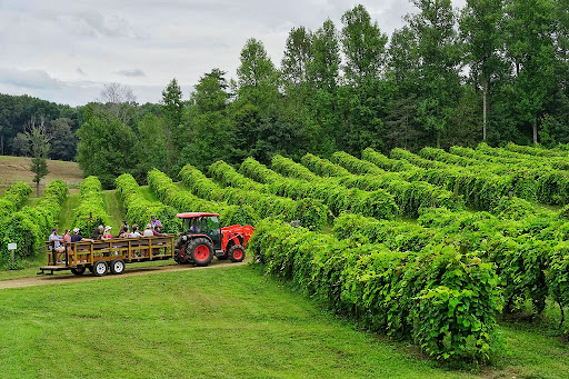 Winery «Cartecay Vineyards», reviews and photos, 5704 Clear Creek Rd, Ellijay, GA 30536, USA