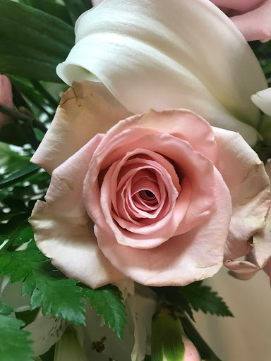 Florist «Krupp Florist», reviews and photos, 3700 W Main St, Belleville, IL 62226, USA