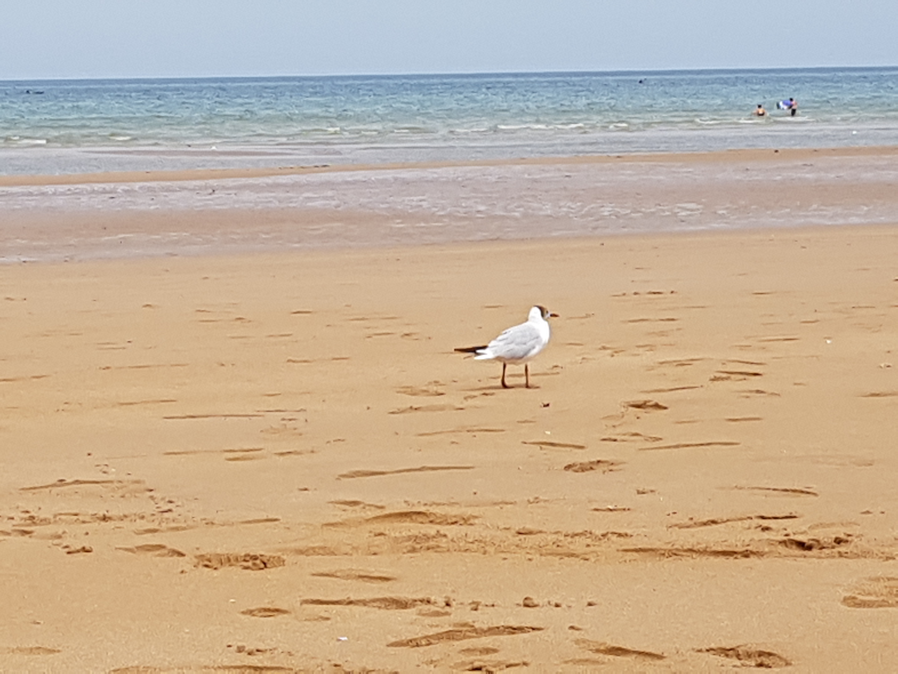 Photo n° 1 de l'avis de Martin.e fait le 19/07/2019 à 06:18