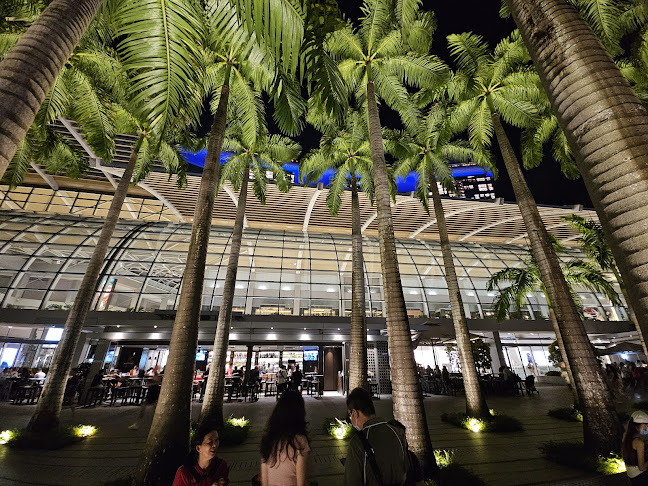 Spectra - A Light & Water Show