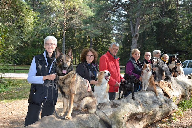 hundeschule-hagmann.ch