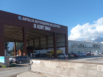Antalya büyükşehir belediyesi kırsal hizmetler dairesi başkanlığı