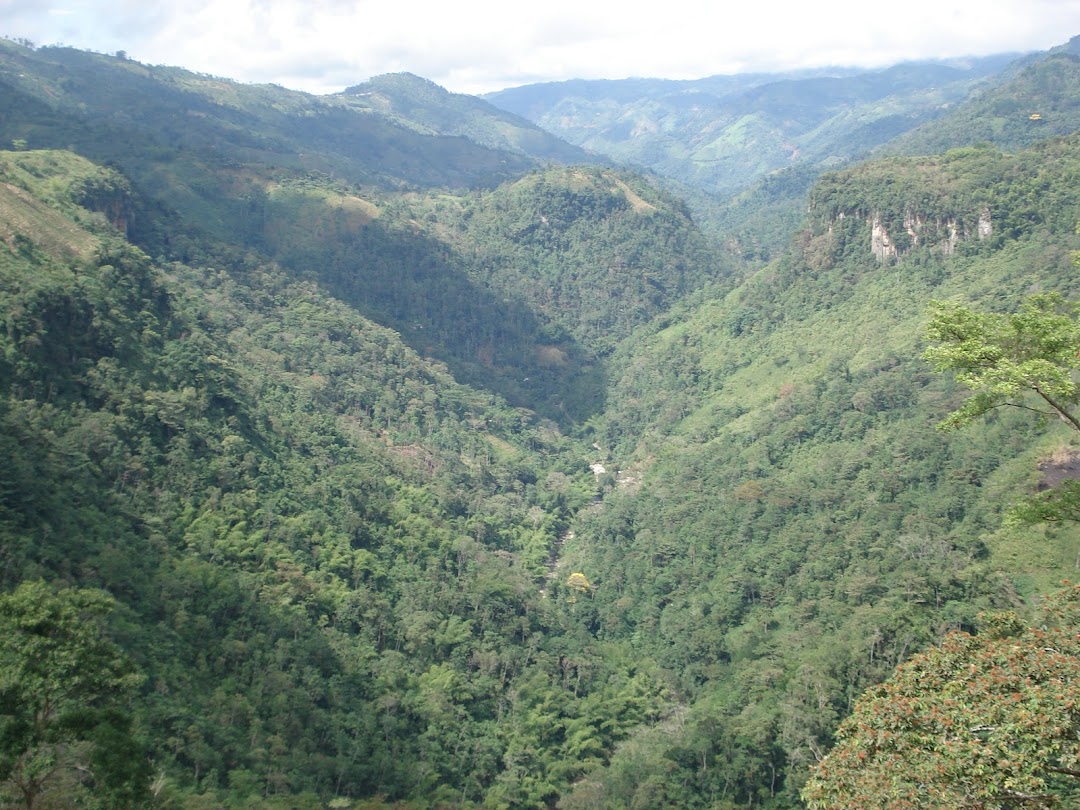 Reserva agroforestal Santa Librada