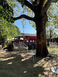 Photo n°13 de Le jardin merveilleux | Hauterives à Hauterives ()