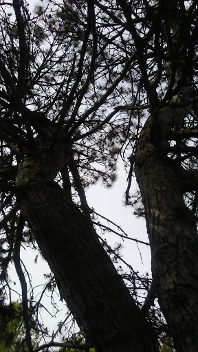 Park «Lions Park», reviews and photos, Park St, Dundee Township, IL 60118, USA